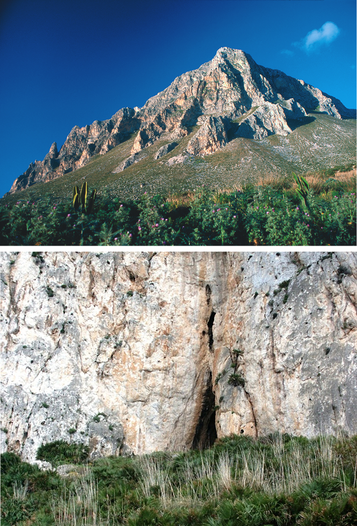 /sito/LA%20RISERVA%20NATURALE%20ORIENTATA%20DI%20MONTE%20COFANO